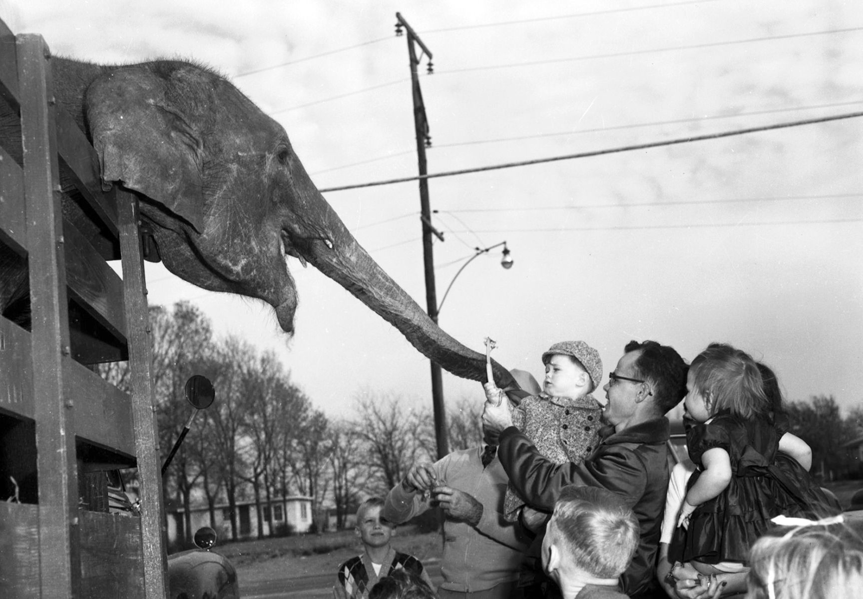 1954
